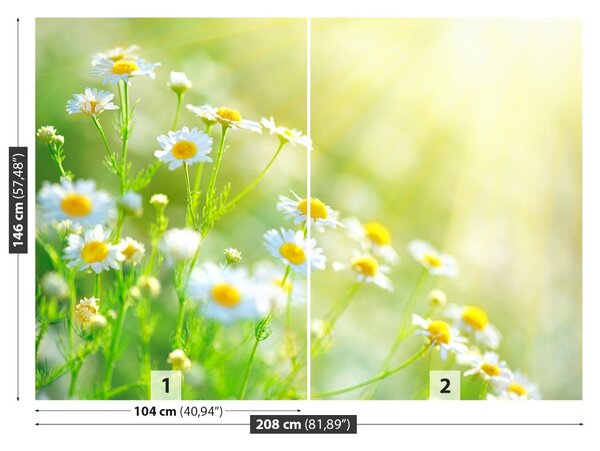 Fototapet margarete