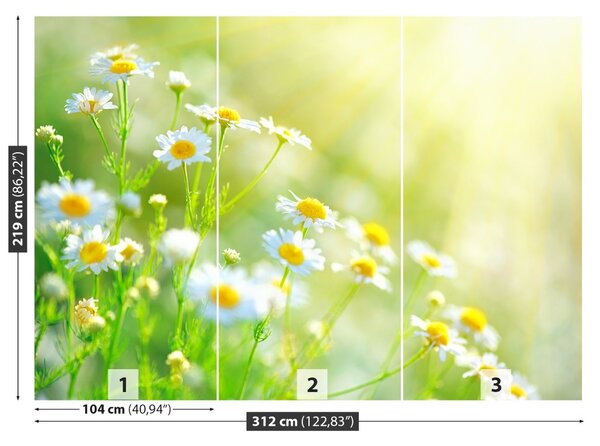 Fototapet margarete