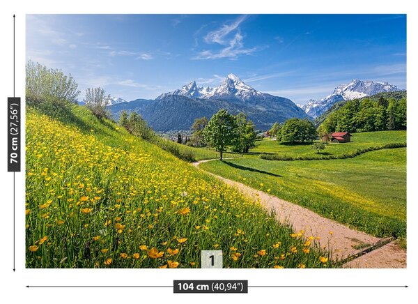 Fototapet idilic Alpi