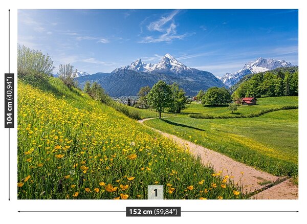 Fototapet idilic Alpi