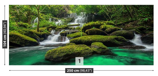 Fototapet Cascada in jungla