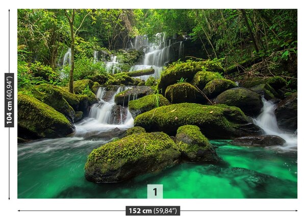 Fototapet Cascada in jungla