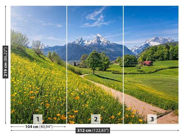 Fototapet idilic Alpi