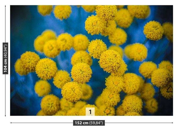 Fototapet galben Flori