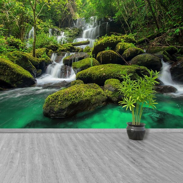 Fototapet Cascada in jungla