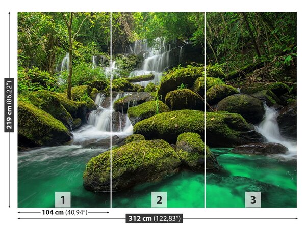 Fototapet Cascada in jungla