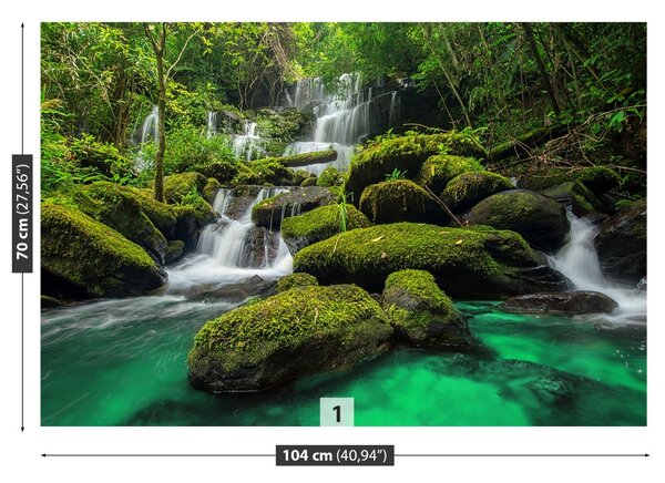 Fototapet Cascada in jungla