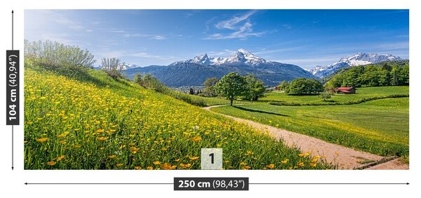 Fototapet idilic Alpi