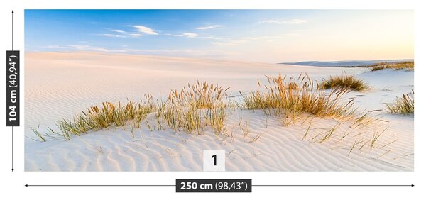Fototapet Marea Dunes