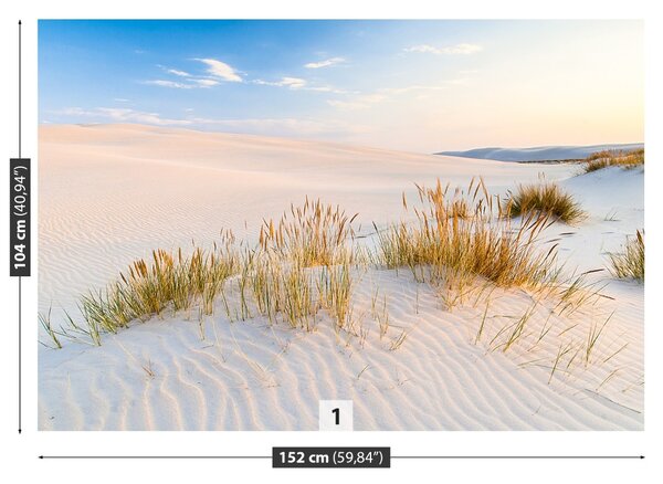 Fototapet Marea Dunes