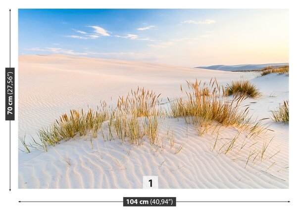 Fototapet Marea Dunes