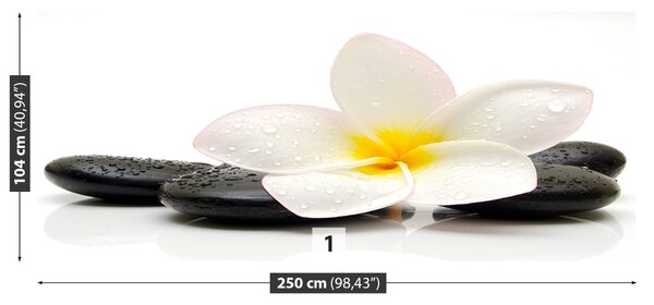 Fototapet plumeria pietre