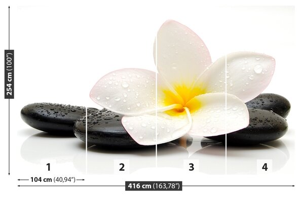 Fototapet plumeria pietre