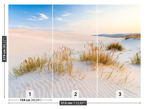 Fototapet Marea Dunes