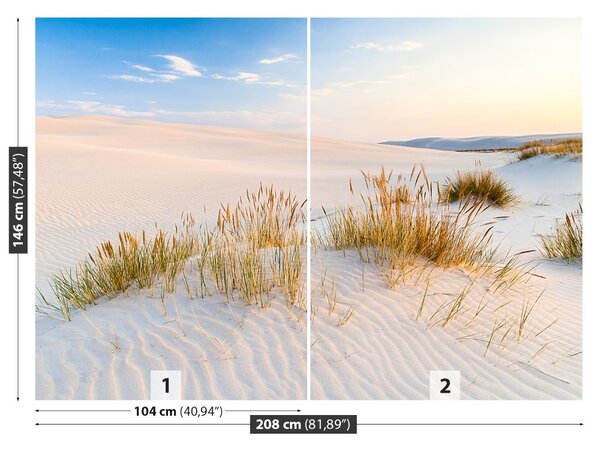 Fototapet Marea Dunes