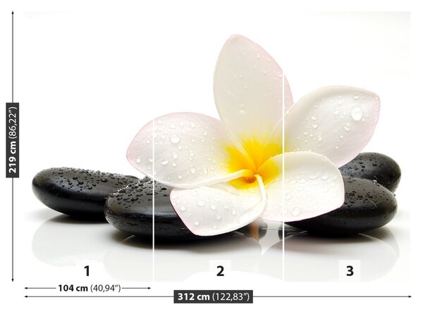 Fototapet plumeria pietre