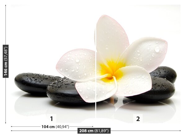 Fototapet plumeria pietre
