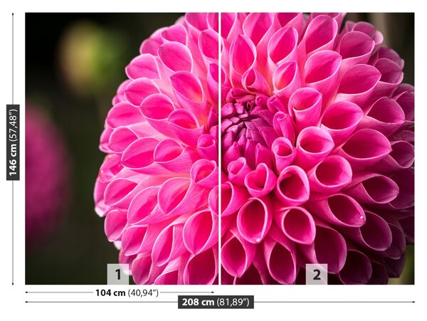 Fototapet Dahlia roz