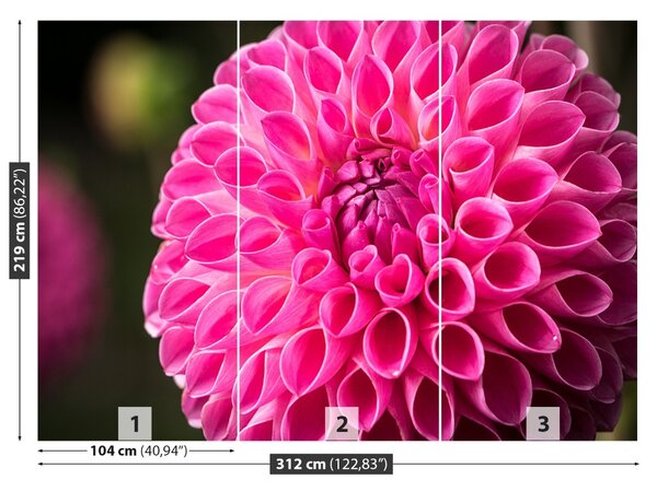 Fototapet Dahlia roz