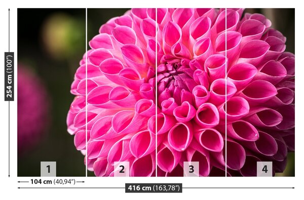 Fototapet Dahlia roz