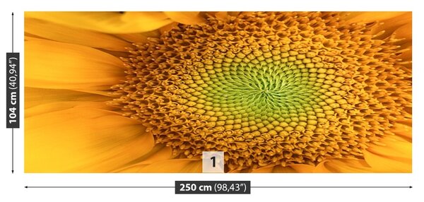 Fototapet floarea-soarelui