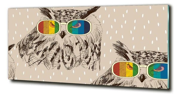 Imagine de sticlă Owls ochelari
