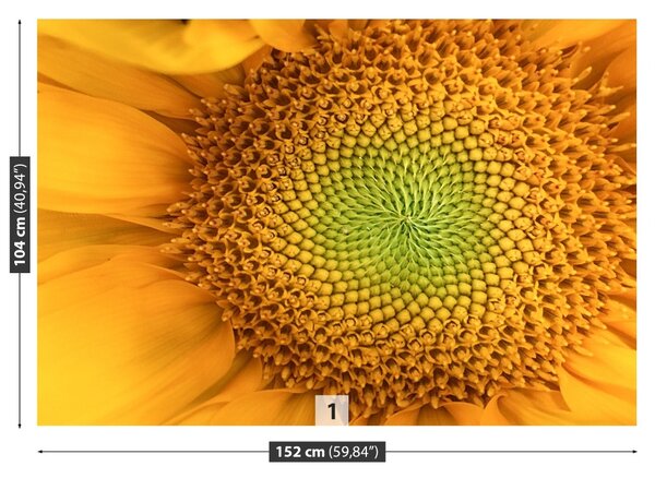 Fototapet floarea-soarelui