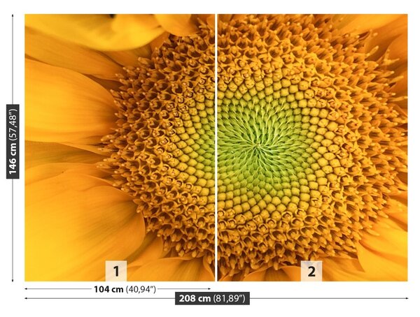Fototapet floarea-soarelui