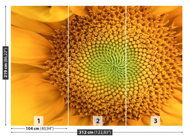 Fototapet floarea-soarelui