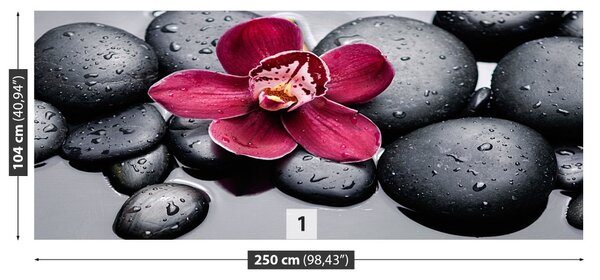Fototapet Orchid Stones