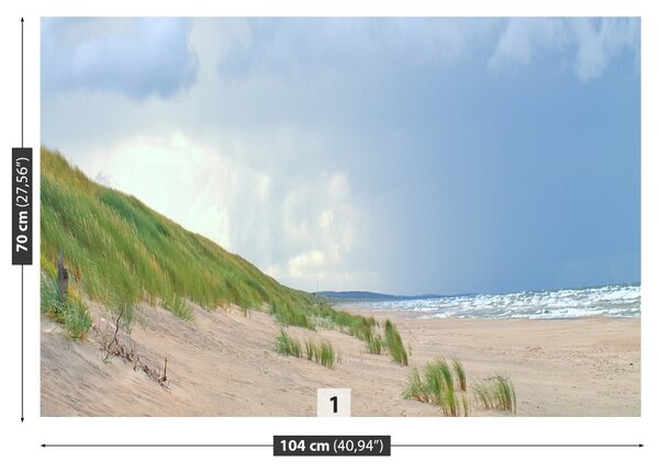 Fototapet Coasta Baltică