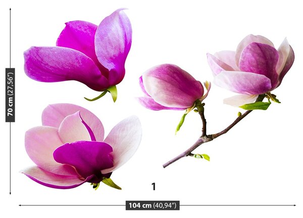 Fototapet Magnolia Flori
