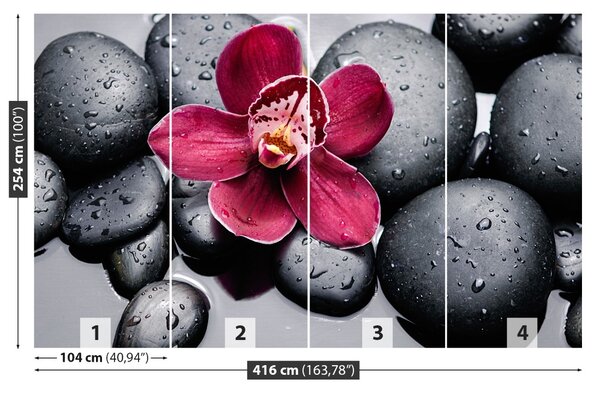 Fototapet Orchid Stones