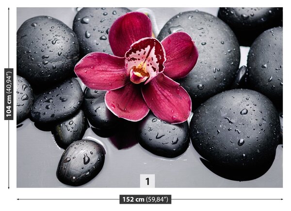 Fototapet Orchid Stones