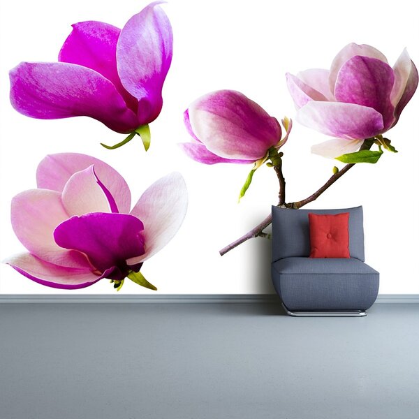 Fototapet Magnolia Flori