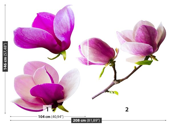Fototapet Magnolia Flori