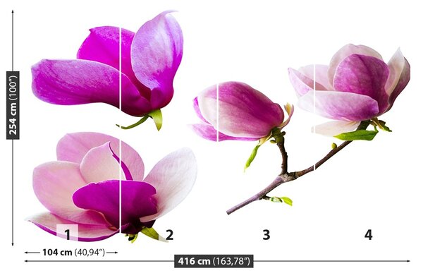 Fototapet Magnolia Flori