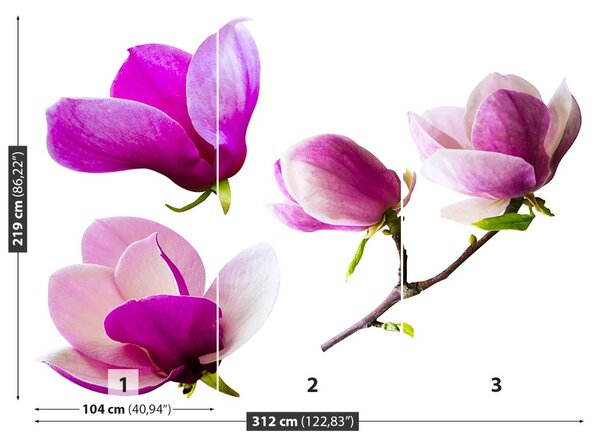 Fototapet Magnolia Flori