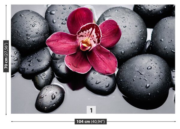 Fototapet Orchid Stones