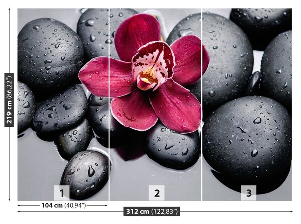 Fototapet Orchid Stones