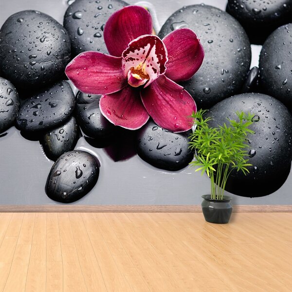 Fototapet Orchid Stones