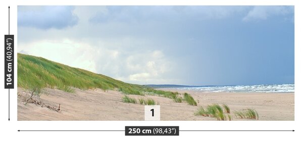 Fototapet Coasta Baltică