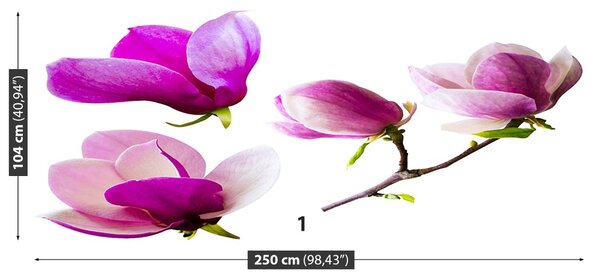 Fototapet Magnolia Flori