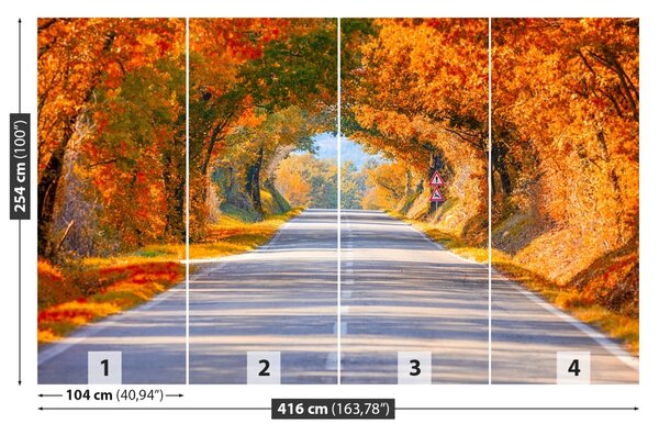 Fototapet Drumul în toamna