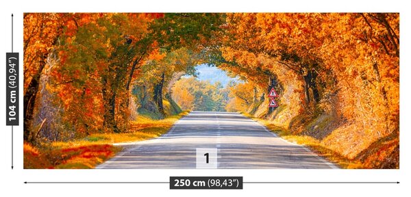 Fototapet Drumul în toamna