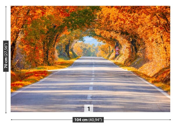 Fototapet Drumul în toamna