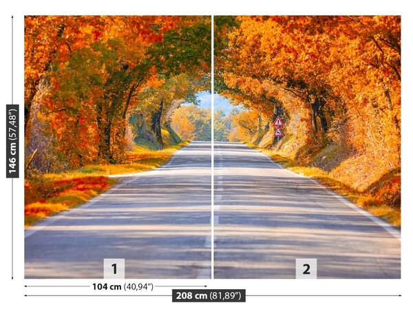 Fototapet Drumul în toamna