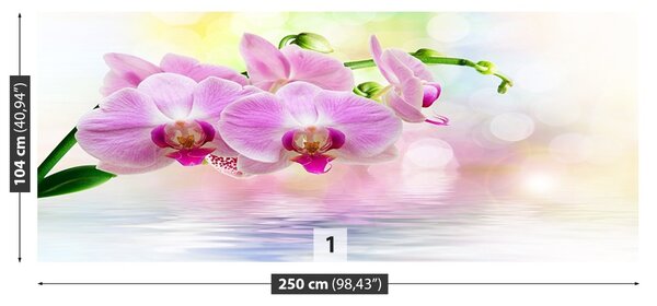 Fototapet Orchid Roses
