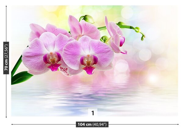 Fototapet Orchid Roses