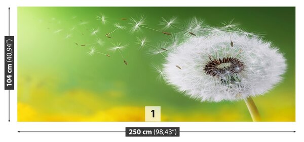 Fototapet Păpădie